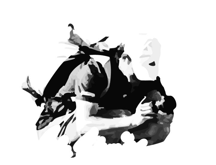 Cole Erlemeier Image